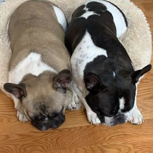 Meet your Posher, Patti